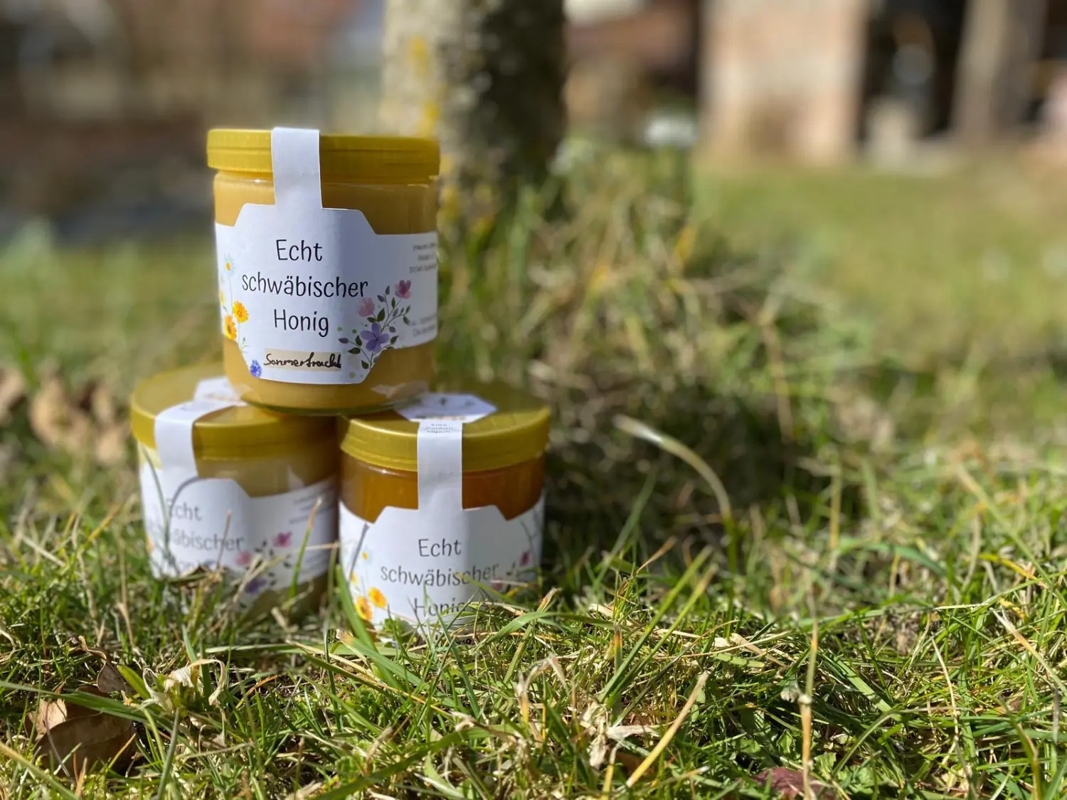 Praxis für Naturheilkunde Andreas Lötterle Produkte